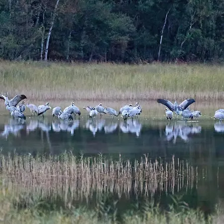 Am Federower Hofsee Apartment