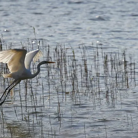 Am Federower Hofsee *