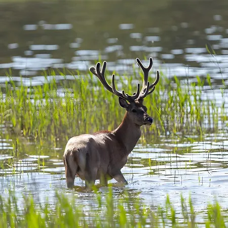 Apartment Am Federower Hofsee