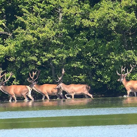 Am Federower Hofsee Kargow